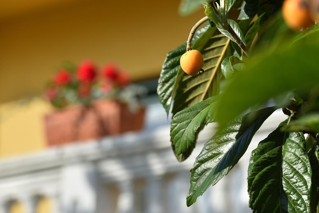 Villa Slavica 1 Vodice Bagian luar foto